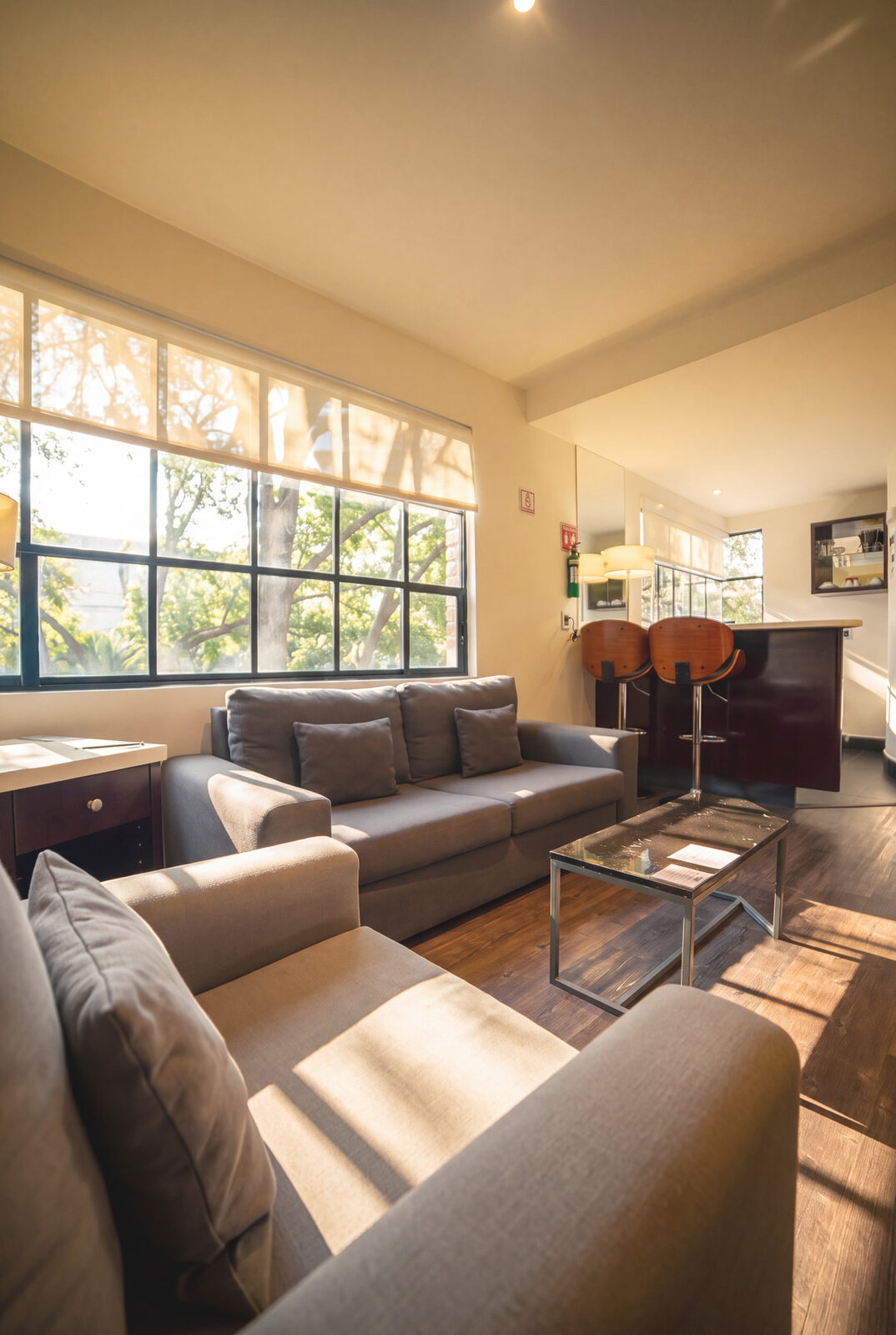 FlowPolanco, Penthouse